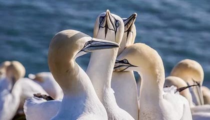 美欧发出威胁,“第二阶段”制裁启动,关税大棒砍向中印,俄才会真疼