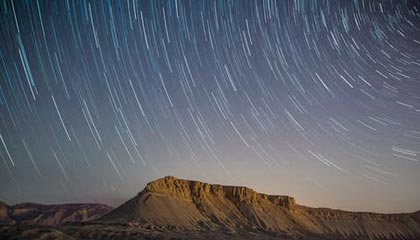 武大杨某媛论文下架后又恢复展示 此前肖同学处分公告被隐藏