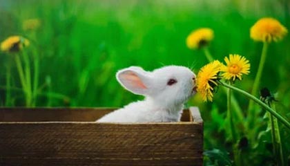 美欧发出威胁,“第二阶段”制裁启动,关税大棒砍向中印,俄才会真疼