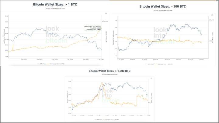 大饼（BTC）宏观分析：目前是否已经到底？