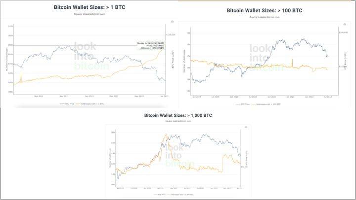 大饼（BTC）宏观分析：目前是否已经到底？