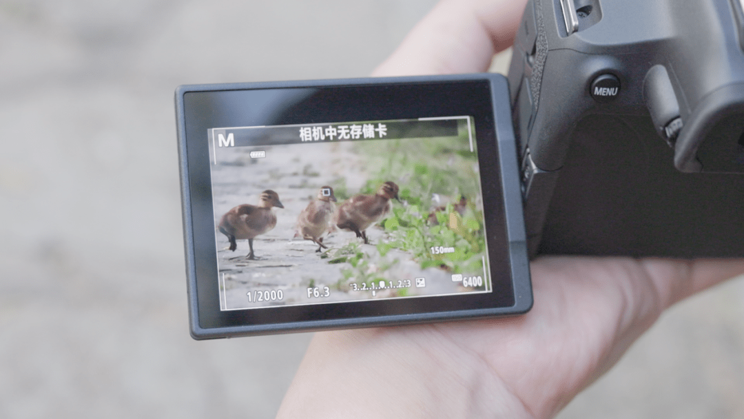快速上手！佳能EOS R7&amp;amp;EOS R10抢先看