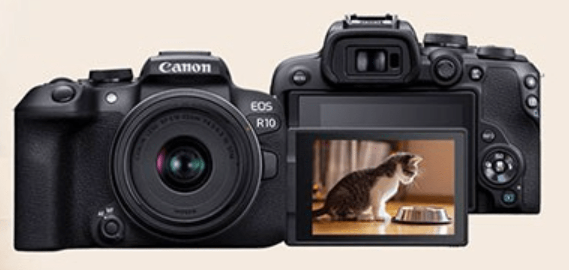 佳能EOS R系列最轻机型！EOS R10，年轻用户的首选