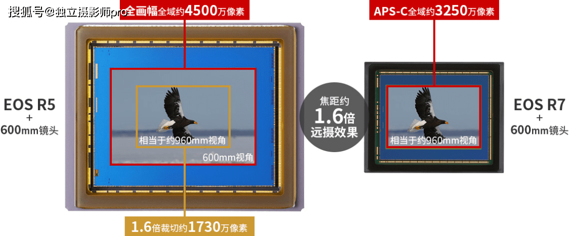 佳能正式发布EOS R7和EOS R10无反相机和两枚RFS镜头