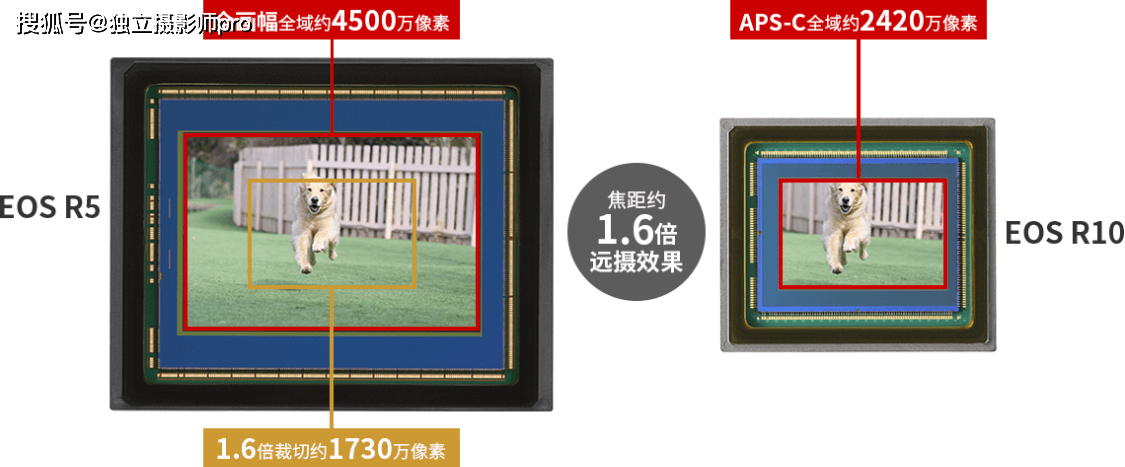 佳能正式发布EOS R7和EOS R10无反相机和两枚RFS镜头
