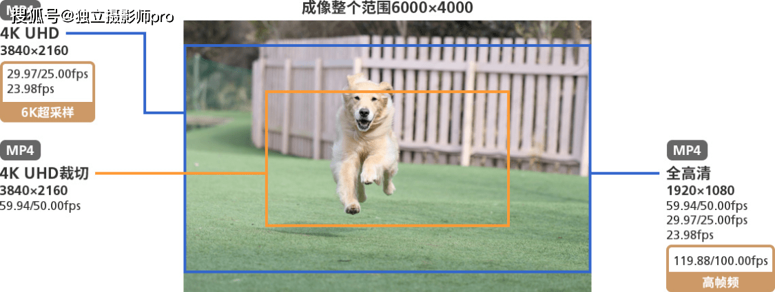 佳能正式发布EOS R7和EOS R10无反相机和两枚RFS镜头