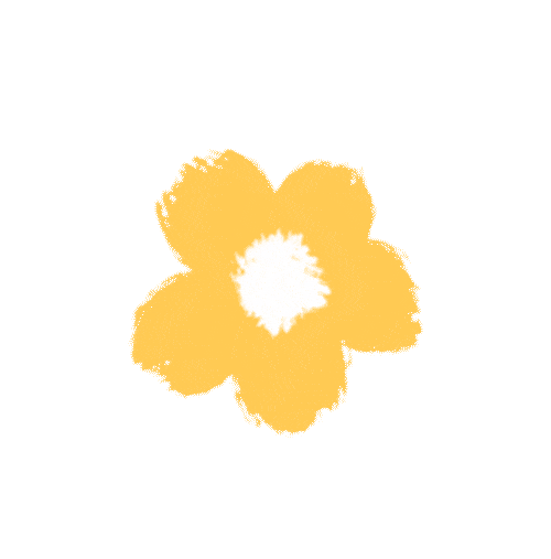 【佳能EOS俱乐部】如何轻松拍出宠物大片
