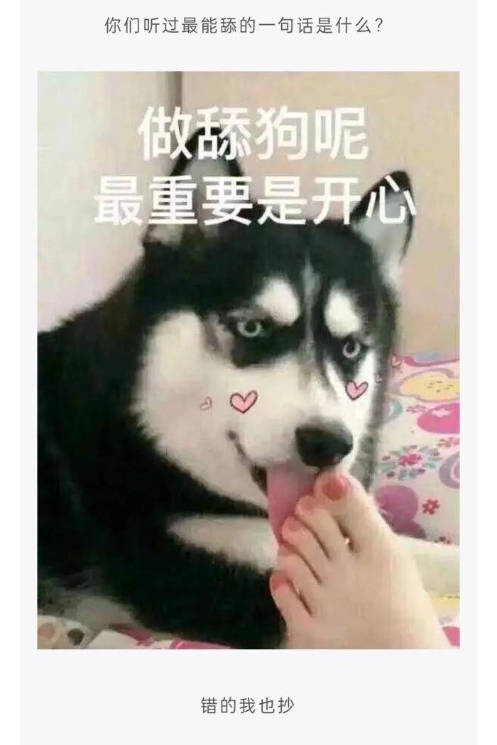 轻松一刻：Doge今年已经15岁了，时间过得真快