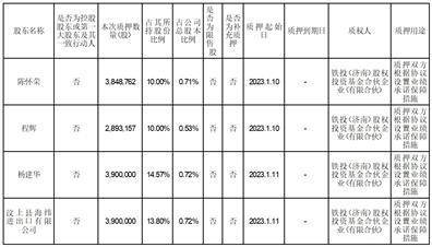 博深股份有限公司 关于股东进行股票质押的公告