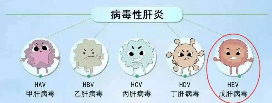 春季是高发期！菏泽这一疫苗可以接种了！附接种点！