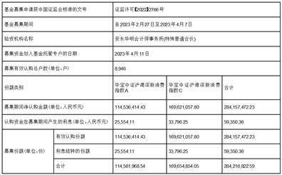 华宝中证沪港深新消费指数型证券投资基金 基金合同生效公告