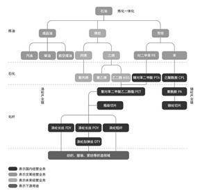 恒逸石化股份有限公司2022年度报告摘要