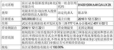 长江证券承销保荐有限公司关于苏州规划设计研究院股份有限公司 参与战略配售的投资者的专项核查报告