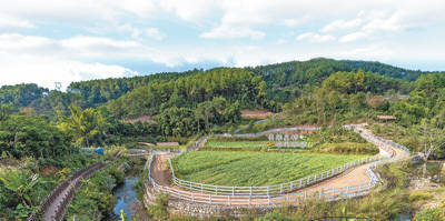 凭借独特风味和品质走俏国际市场——云南咖啡 香飘世界（国际视点）