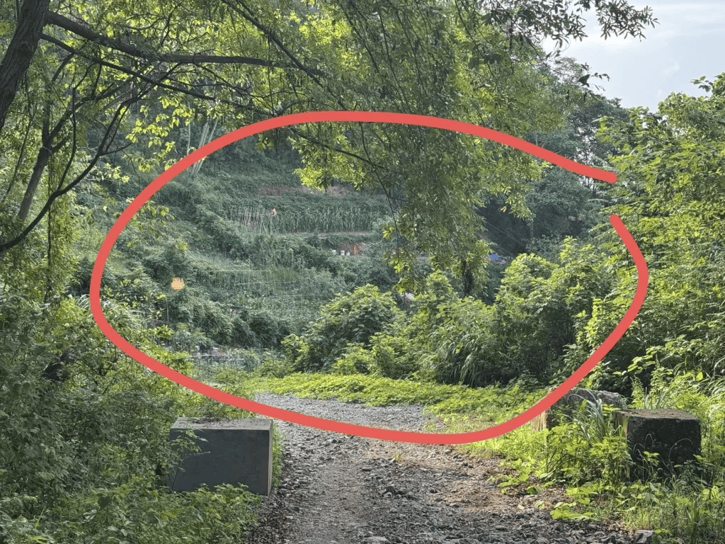 杭州女子误踩“化骨水”身亡，当地：已锁定化学品所有者，发现三桶，一桶完整，两桶残余