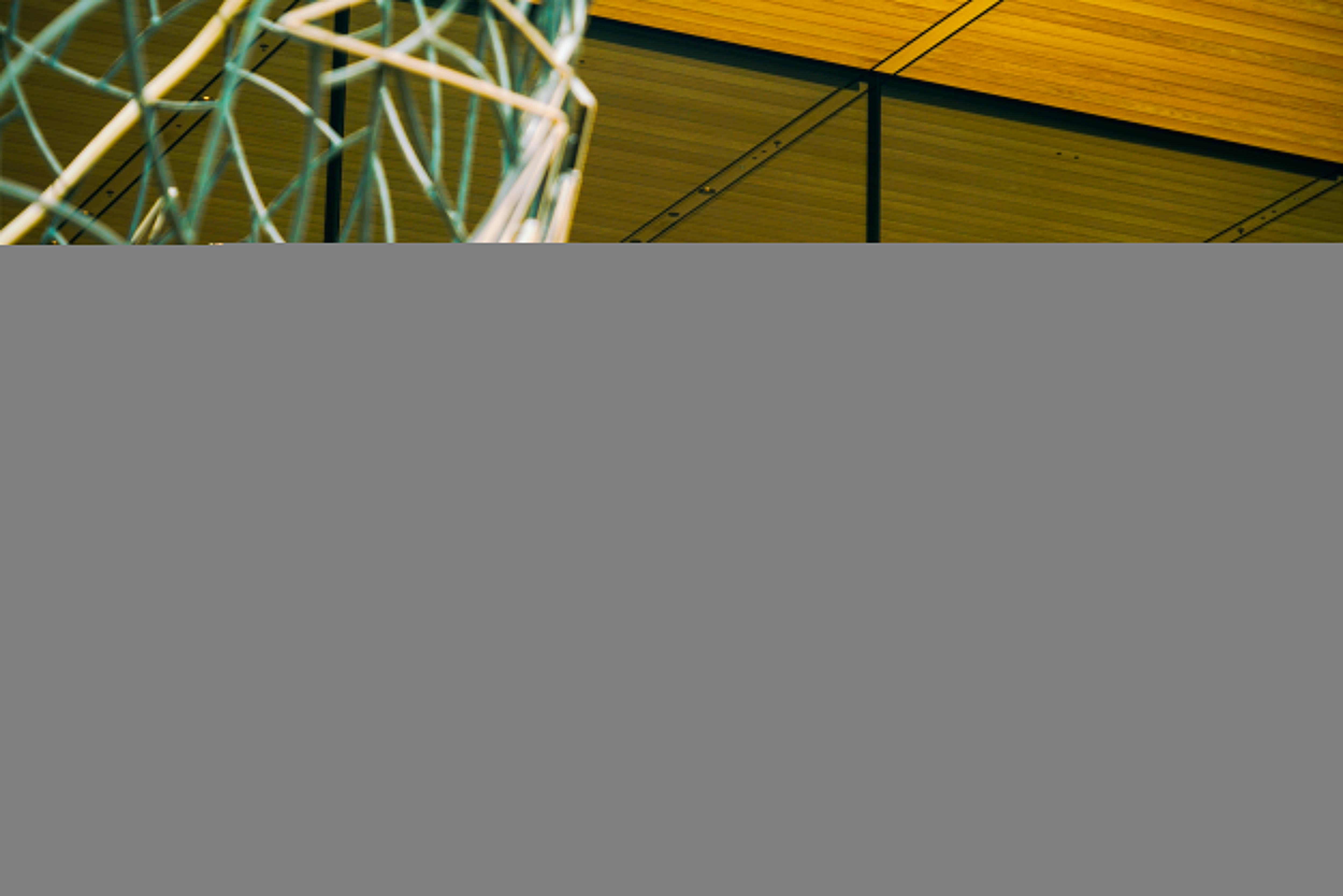 iPhone 17正式开售，橙色Pro Max黄牛最高加价1500元