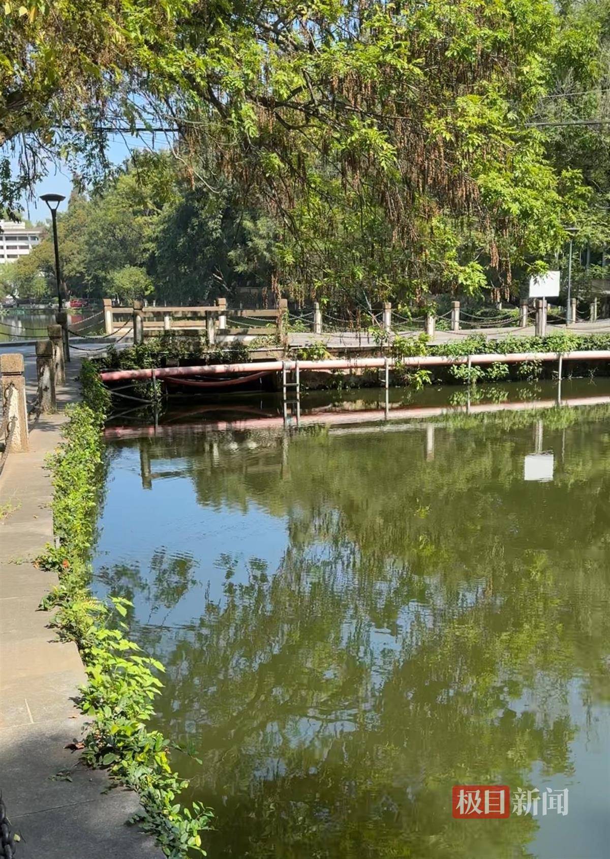 对话鸡排哥李俊永：爆火后每天一二十个镜头对着我，未来不考虑直播带货，更愿意和顾客待在一起