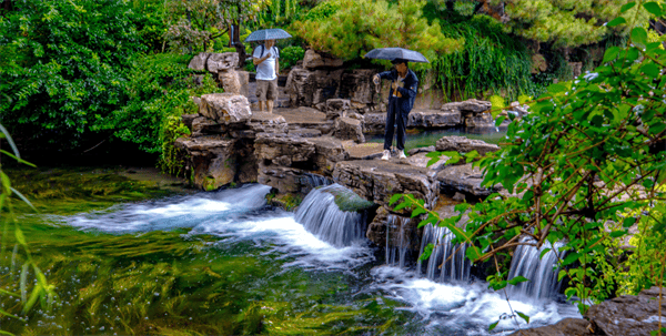 秋色满城 历下有约丨雨润泉城，双节同庆，天下第一泉邀您共赏烟雨诗画