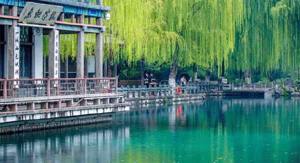 秋色满城 历下有约丨雨润泉城，双节同庆，天下第一泉邀您共赏烟雨诗画