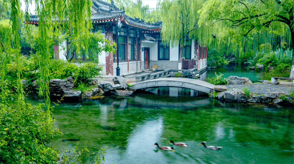 秋色满城 历下有约丨雨润泉城，双节同庆，天下第一泉邀您共赏烟雨诗画