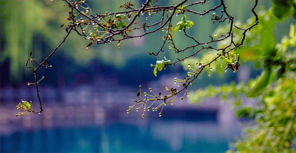 秋色满城 历下有约丨雨润泉城，双节同庆，天下第一泉邀您共赏烟雨诗画