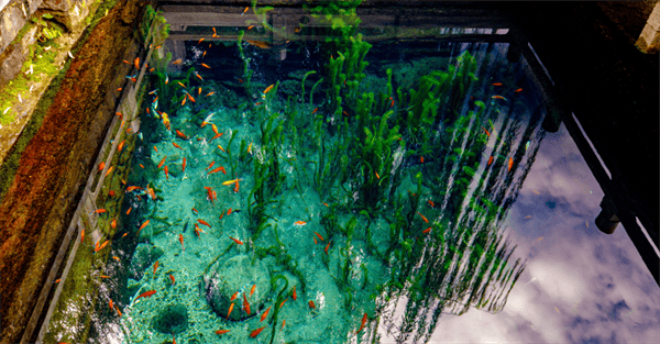 秋色满城 历下有约丨雨润泉城，双节同庆，天下第一泉邀您共赏烟雨诗画