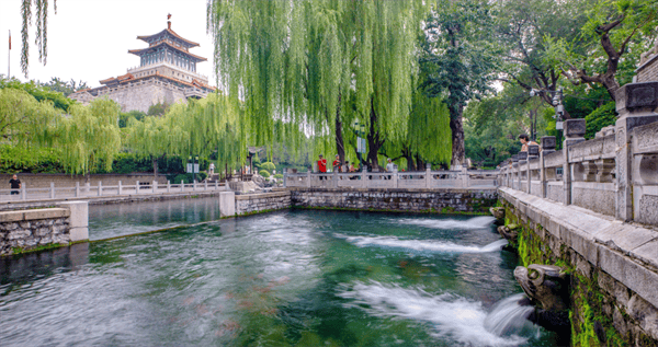 秋色满城 历下有约丨雨润泉城，双节同庆，天下第一泉邀您共赏烟雨诗画