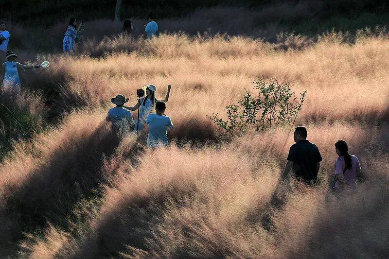 打卡拍照，再美也不能用生命对焦