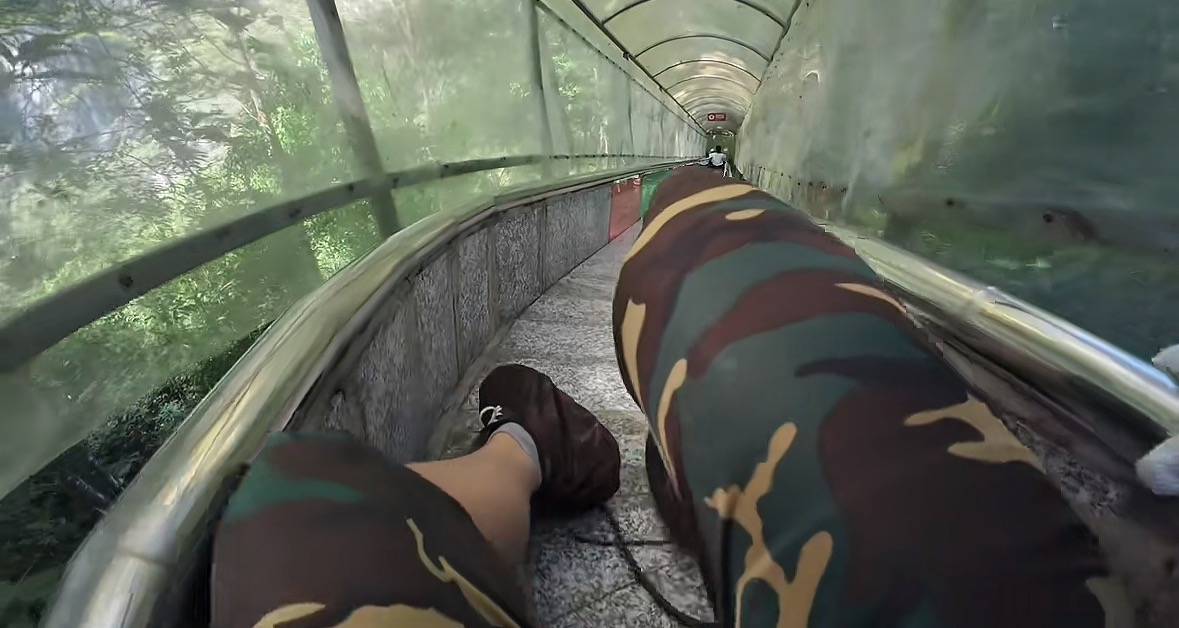 游客称在广西丹炉山滑道遇蛇，景区致歉：这么多年就这一次，每年都做防蛇处理