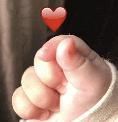 热热热，未来几天最高气温将达35℃！