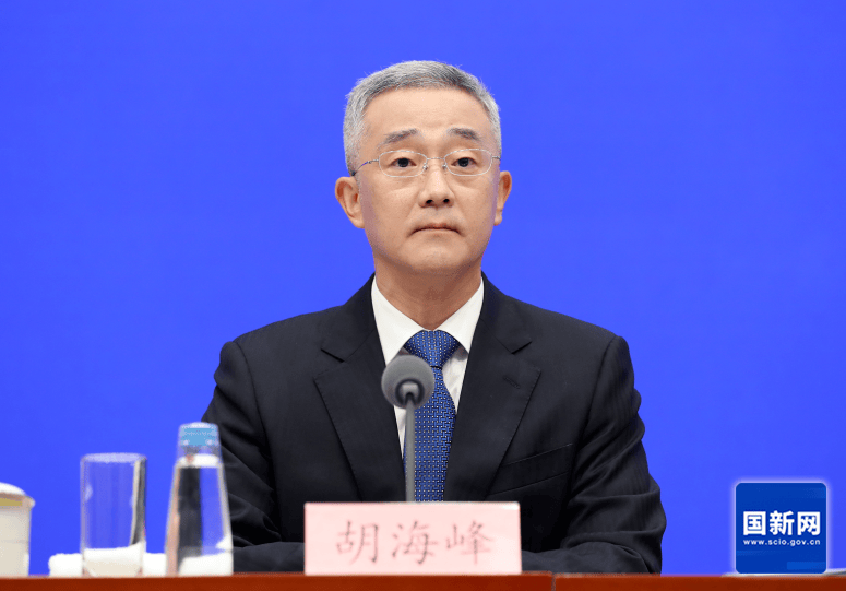 胡海峰：民政部门打击整治非法社会组织8000余个