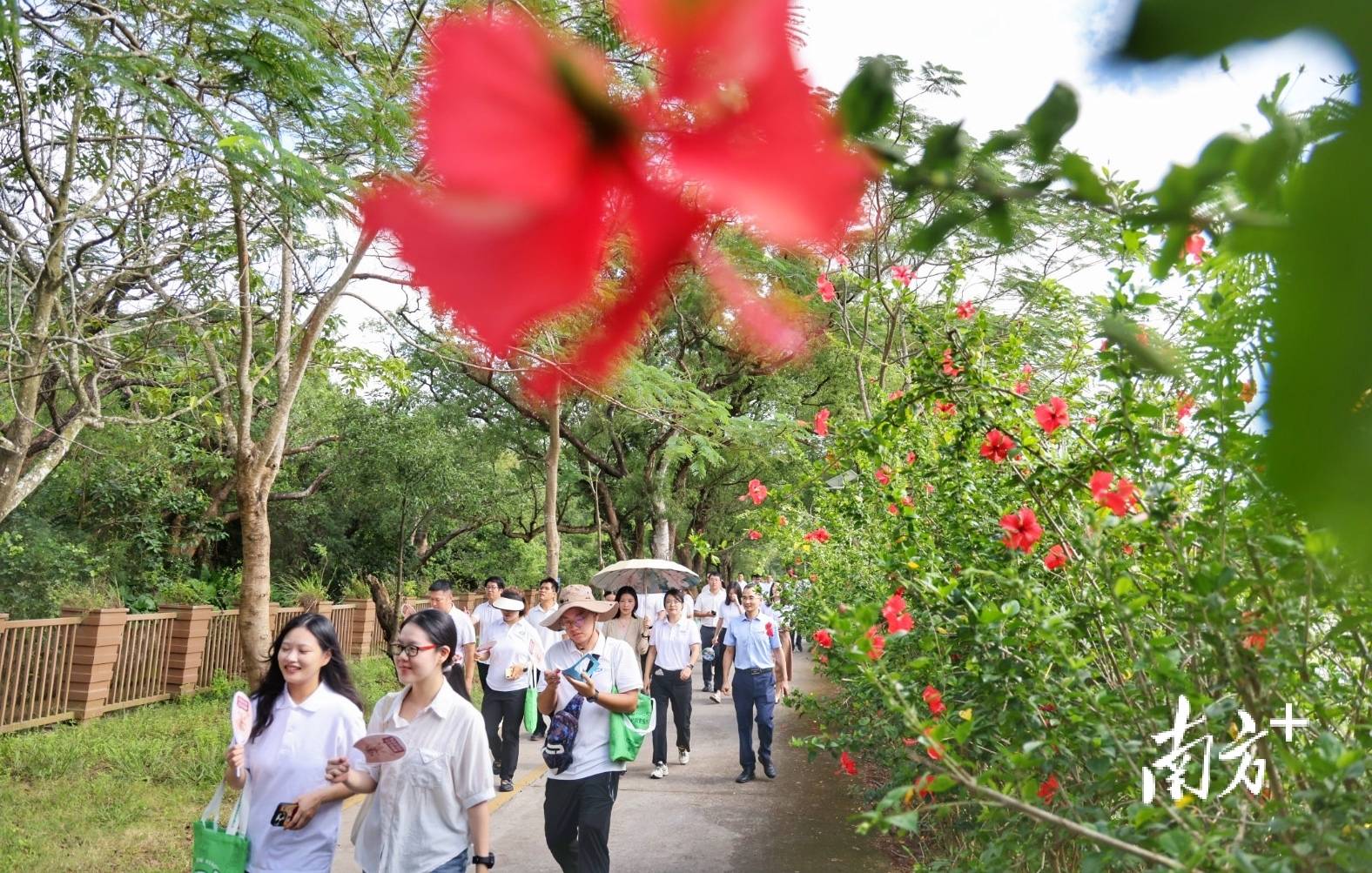 中山城建集团“连心桥”移交，村企共建绘就桂南新画卷