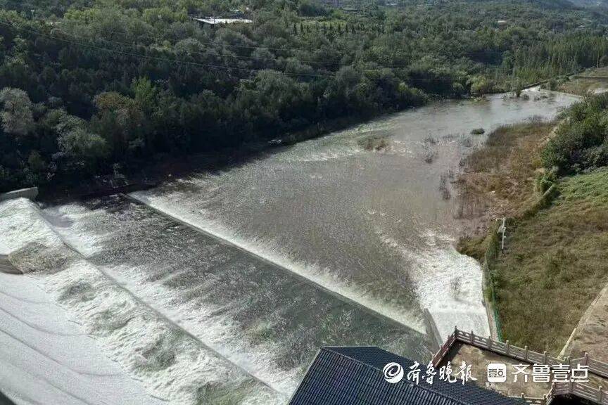 “鱼多得数不过来，一网子下去能捞好几条”济南锦绣川水库开闸放水，大量鲢鱼被冲出，工作人员：禁止捕捞！