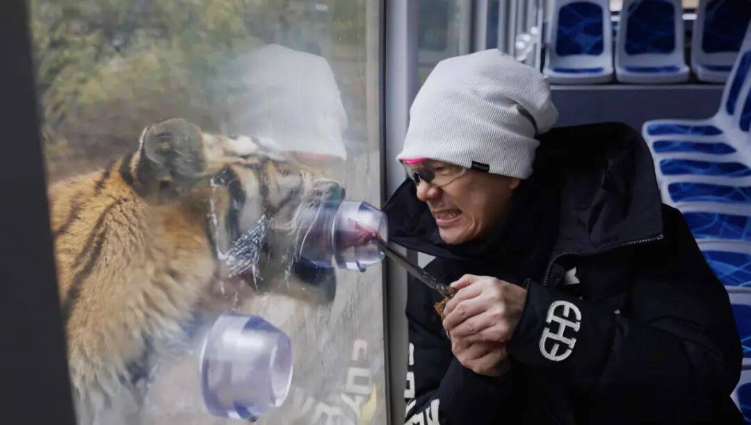 任贤齐打卡的哈尔滨，到底有多好玩？