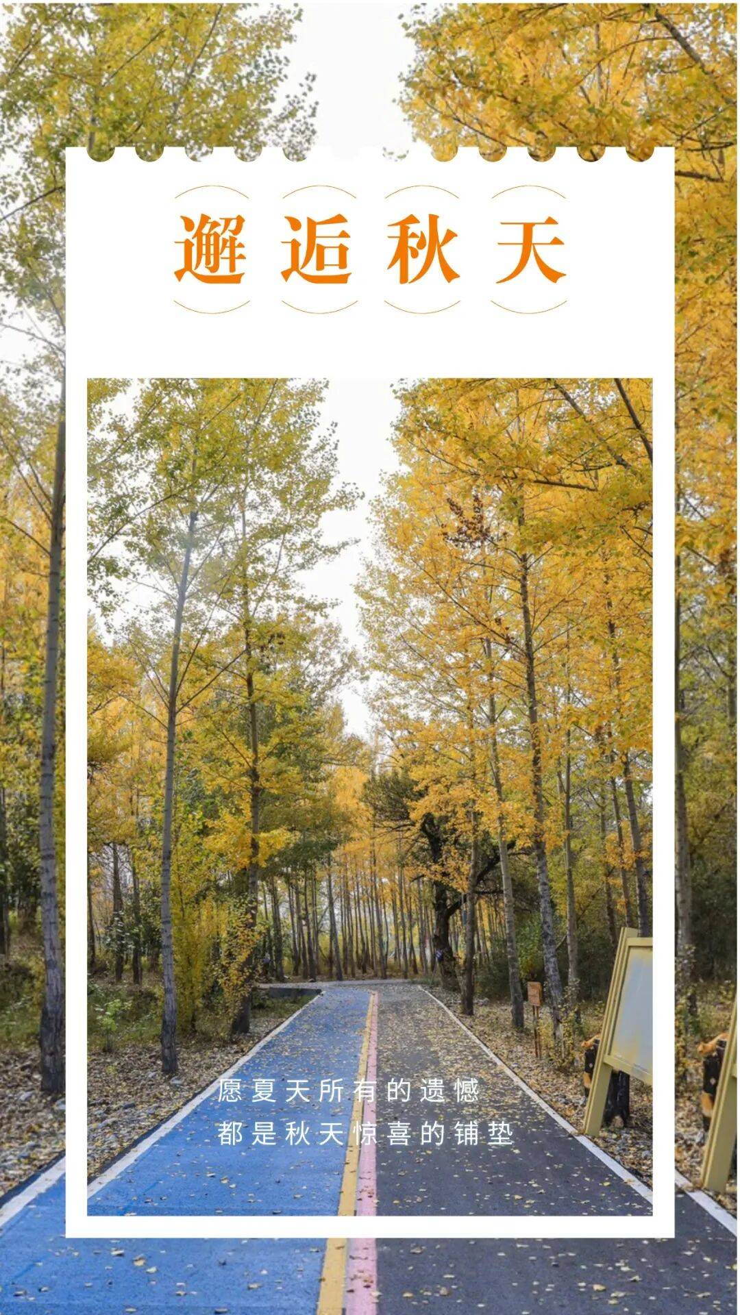 邂逅博州的秋天，从从容容游刃有余