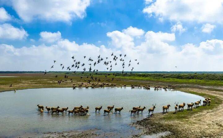 思想之光照亮奋进之路