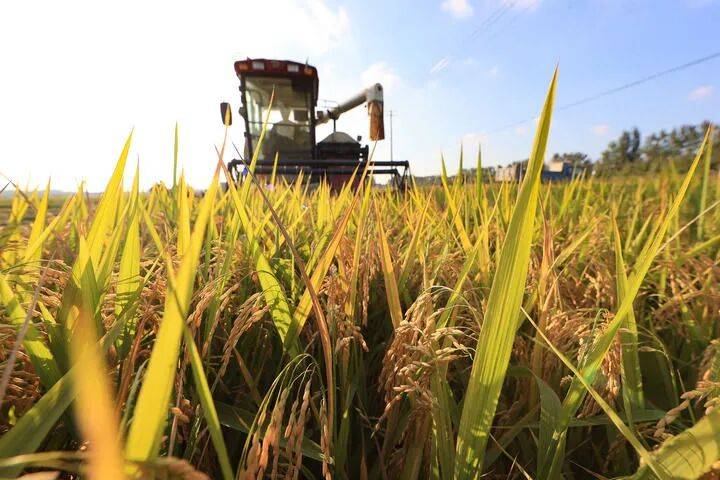 思想之光照亮奋进之路