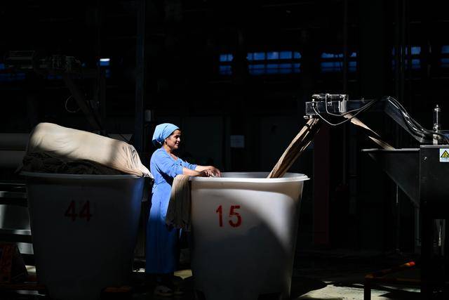 青年说 | 到中亚，奔赴一场激动人心的“探秘”