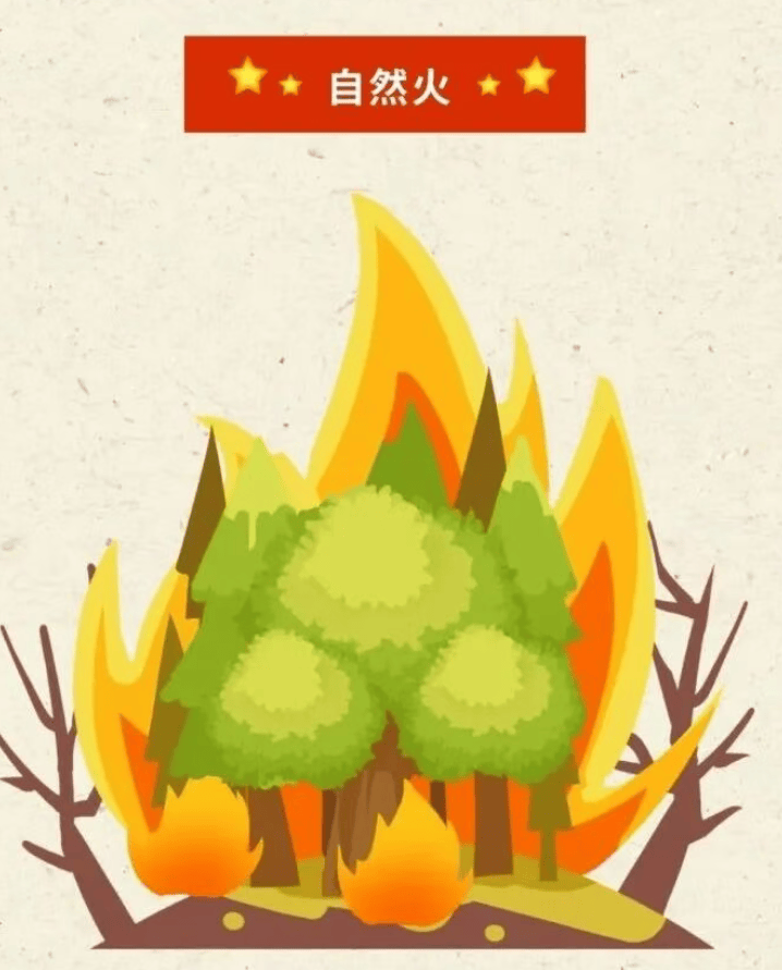 森林防火正当时，防火指南要牢记！