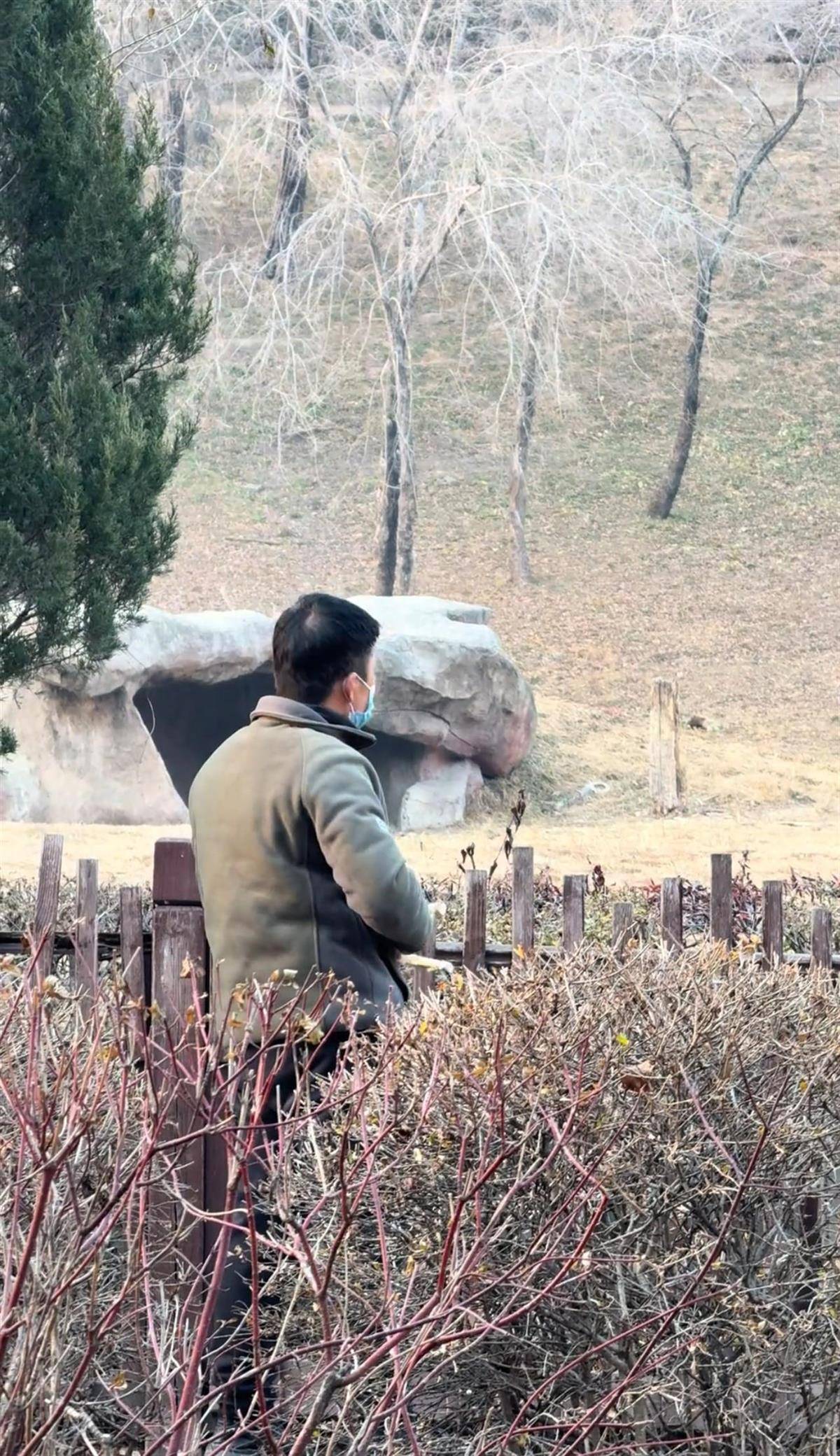 沈阳一男子动物园内用弹弓射老虎，目击者称其“填装了弹丸”，打完后老虎爬起来了，园方：正在核实情况