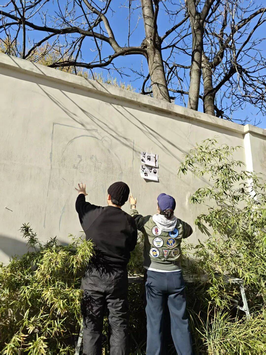 “颜值”出圈 天津和平区独山路这面彩绘墙“亮”了
