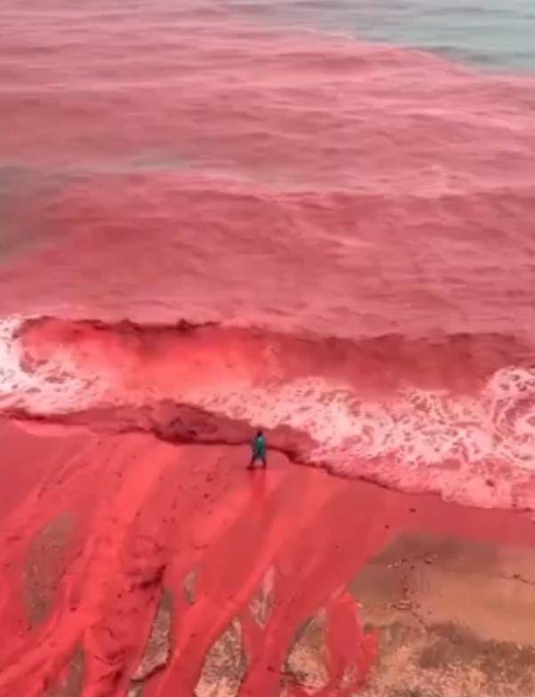 罕见！伊朗霍尔木兹岛遭遇强降雨，部分海域变成“血色海洋”