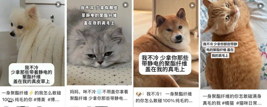 “聚酯纤维衣服是旧塑料瓶做的”，这今冬最歹毒造谣看得人生气