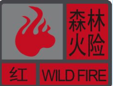 深圳坪山区突发山火，最新通报：明火已扑灭，无人员伤亡