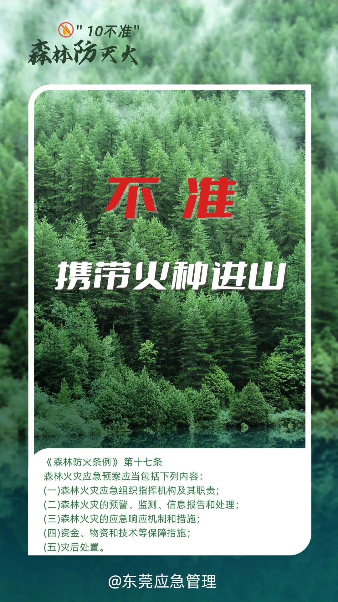 深圳坪山区突发山火，最新通报：明火已扑灭，无人员伤亡