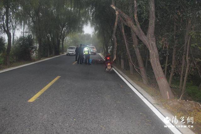 兴平一女教师上班途中撞树身亡 终审判决：镇政府主责赔偿76万余元