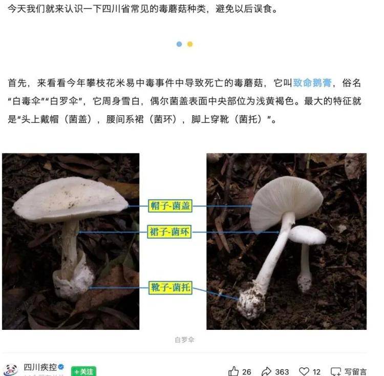 郑州一火锅店菜单现剧毒“白杆杆”？店家称正规渠道采购，当地市监未接到相关投诉